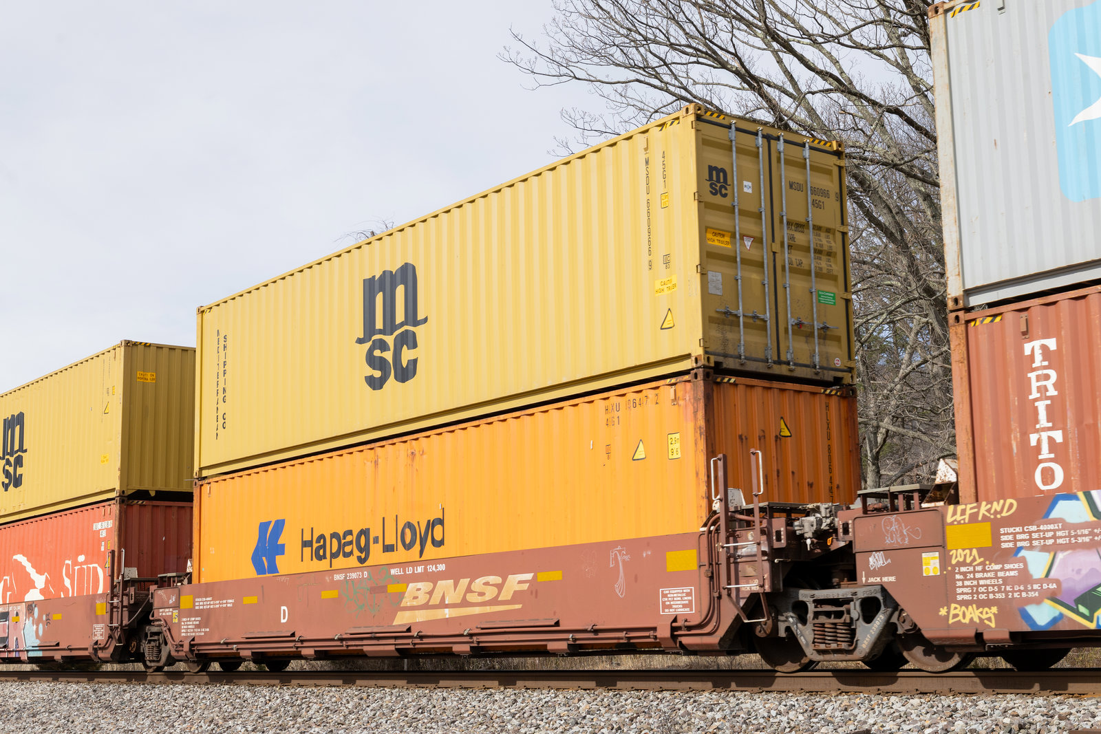 BNSF 239073D