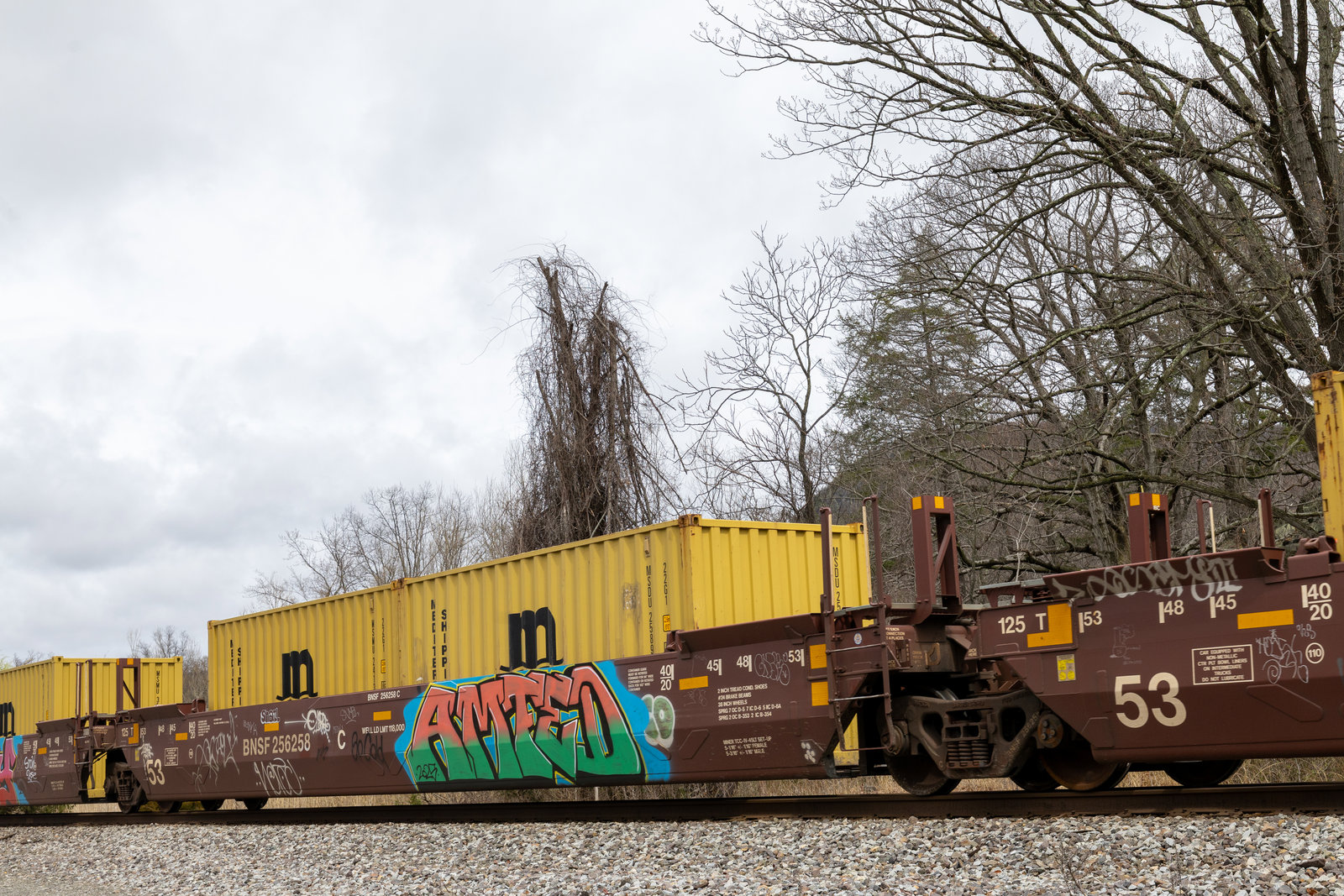 BNSF 256258C
