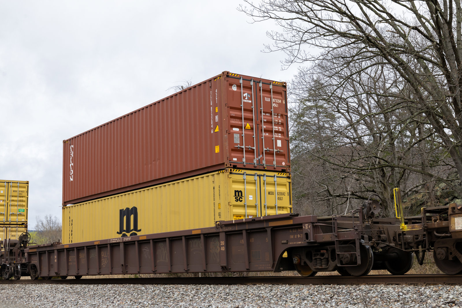 CP 527737