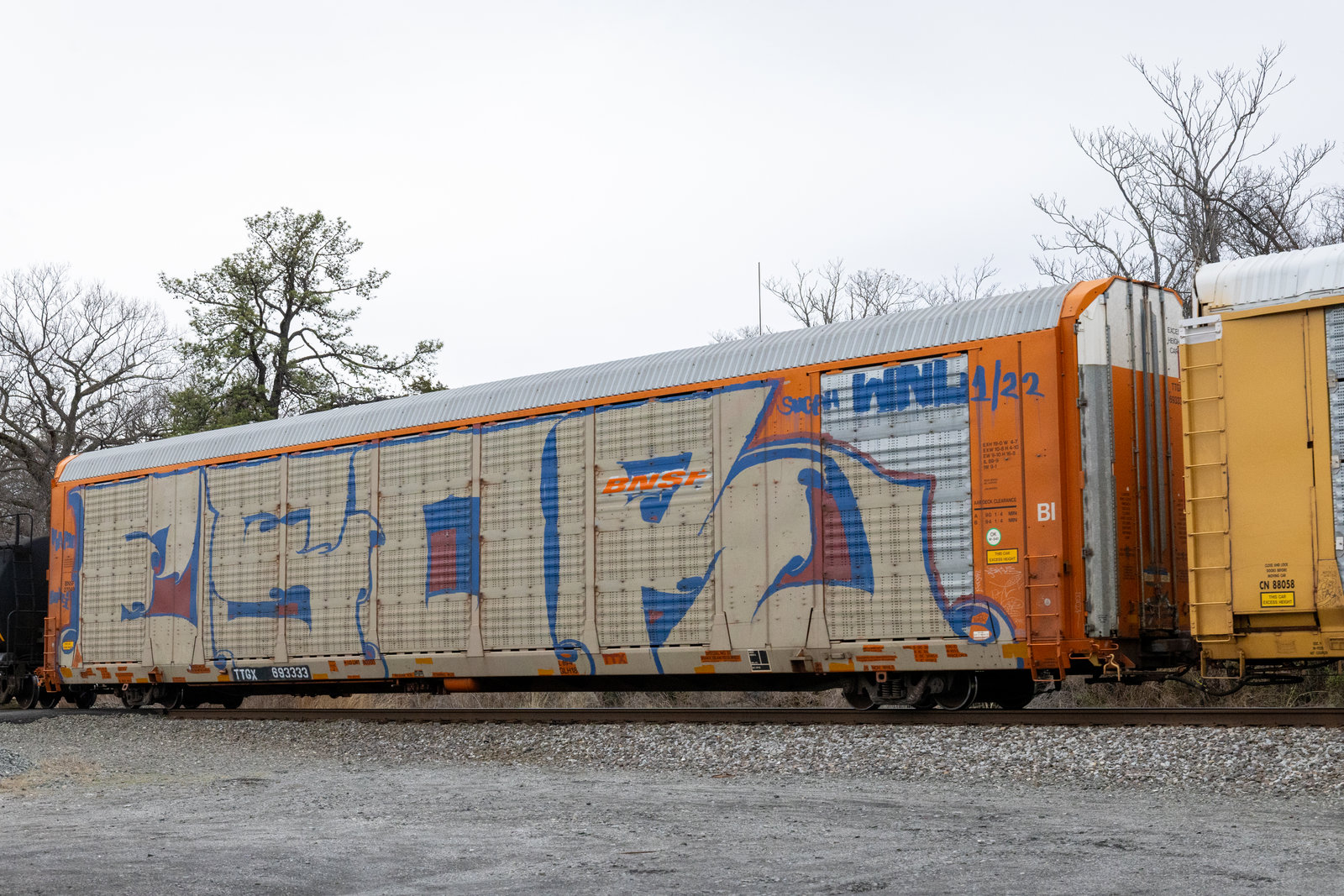 TTGX 693333