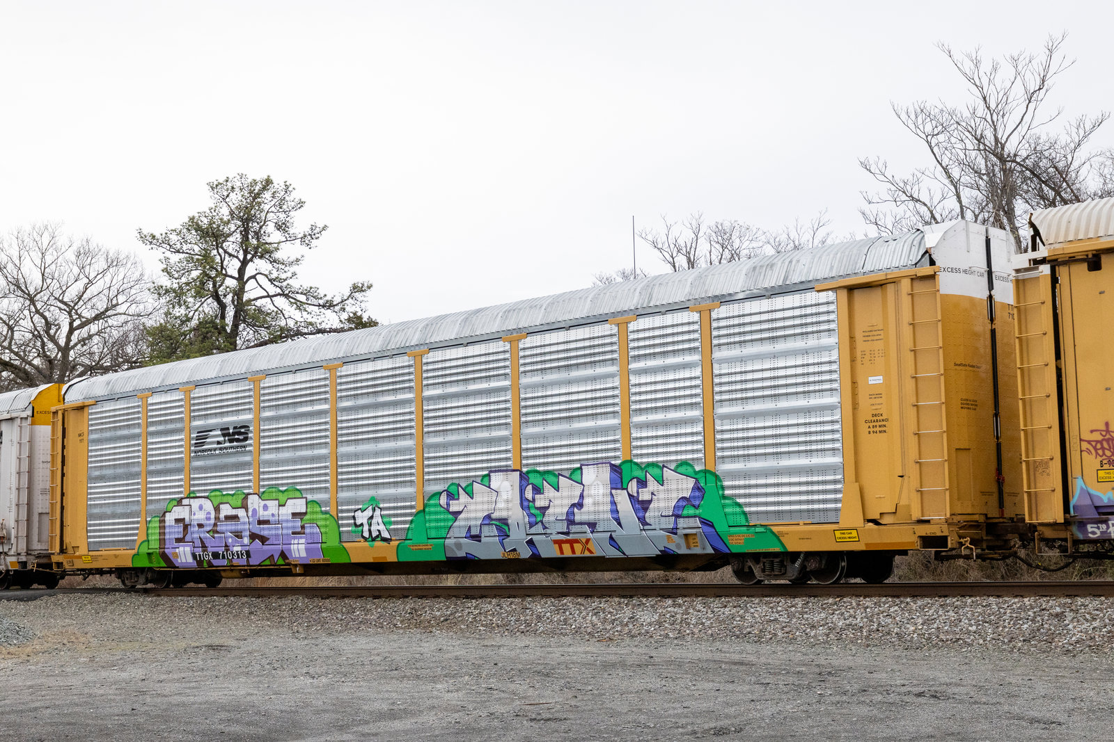 TTGX 710313