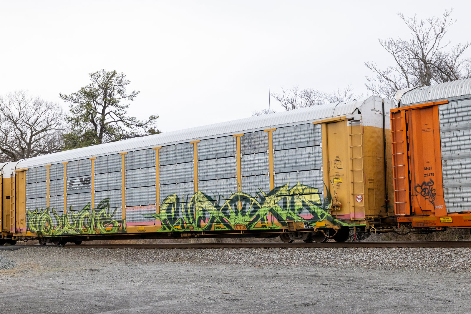 TTGX 985753