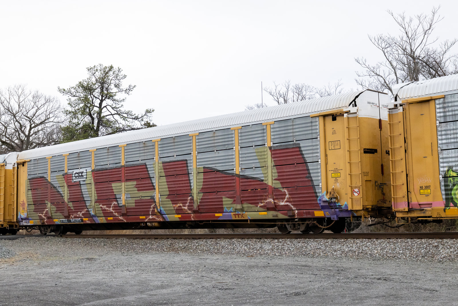 TTGX 985753