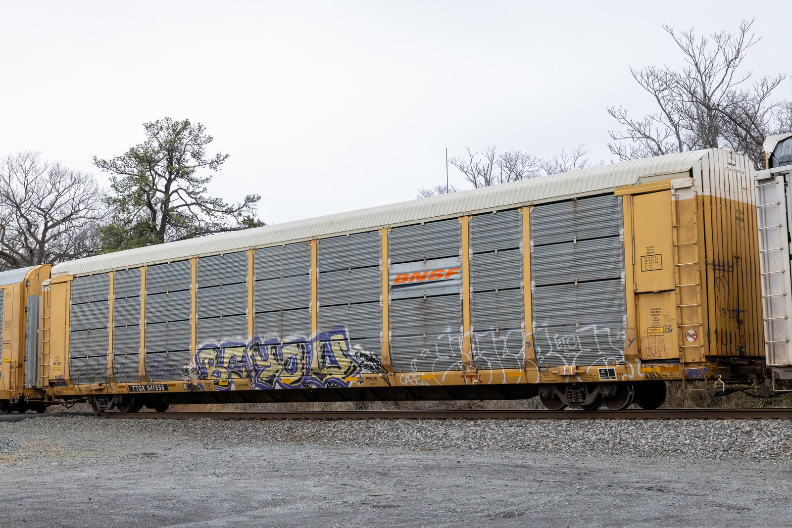 TTGX 941856