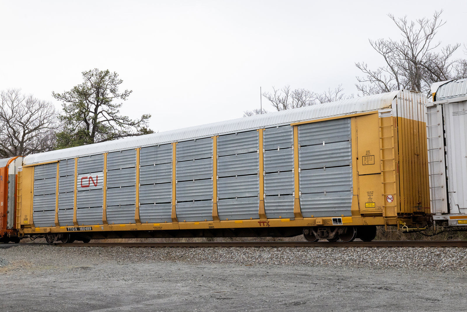 TTGX 160489