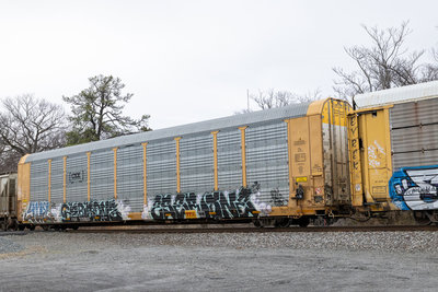 TTGX 715900