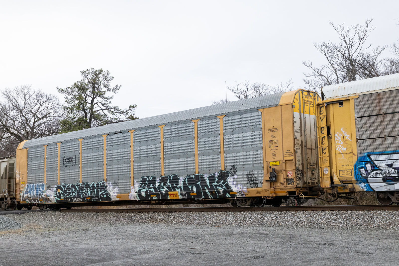 TTGX 715900