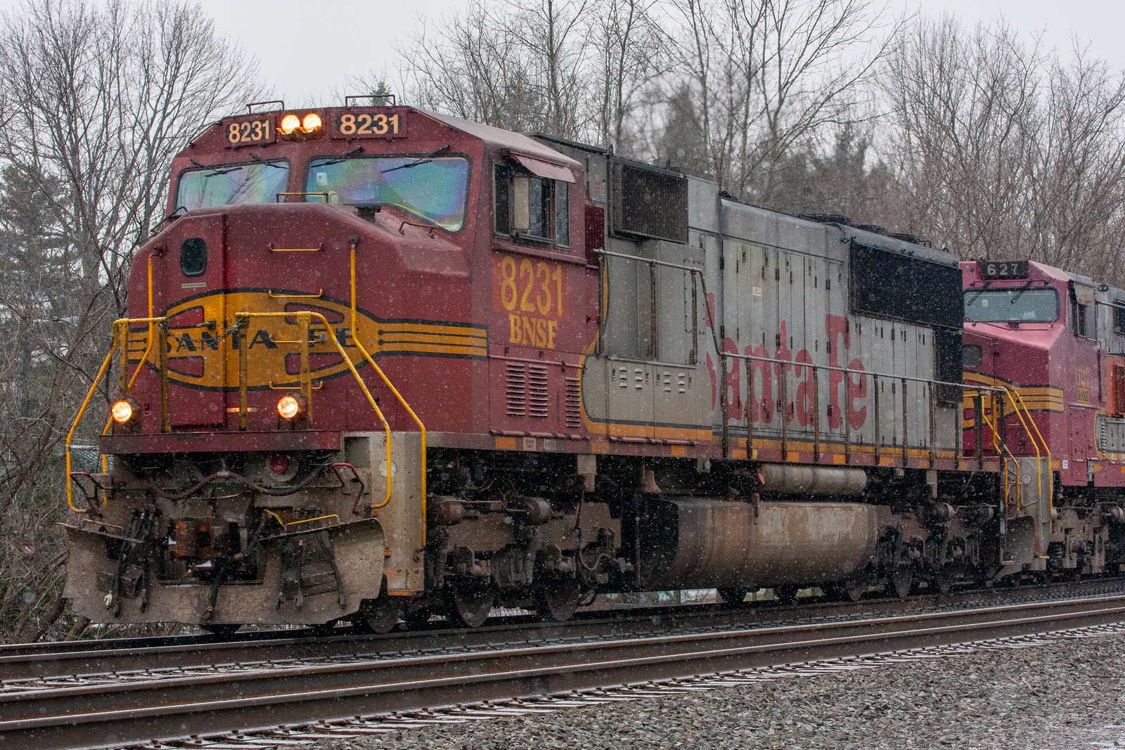 BNSF 8231