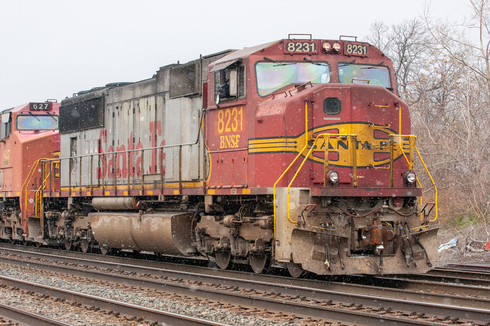 BNSF 8231