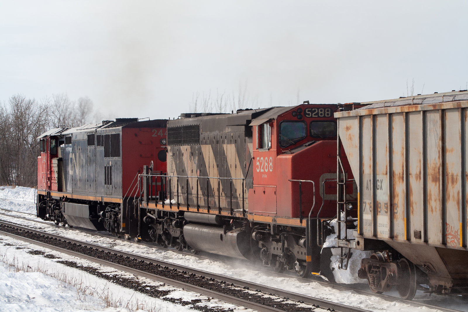 CN 5288