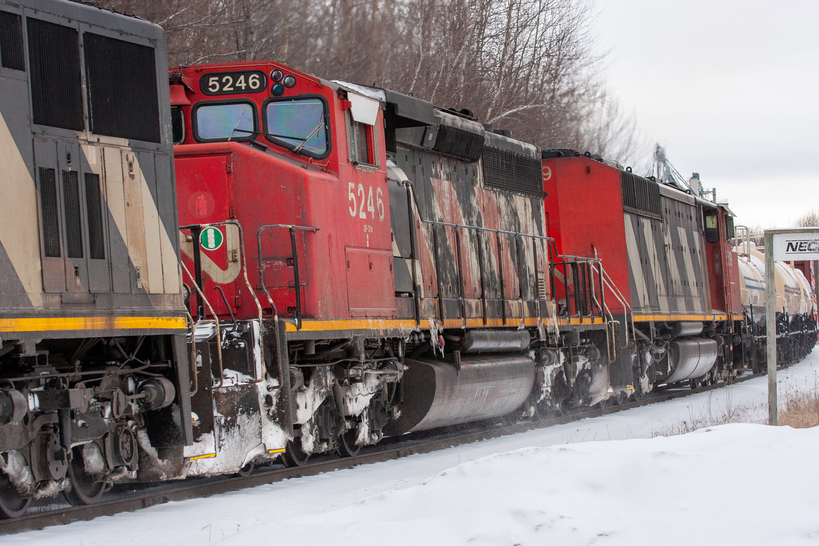 CN 5246