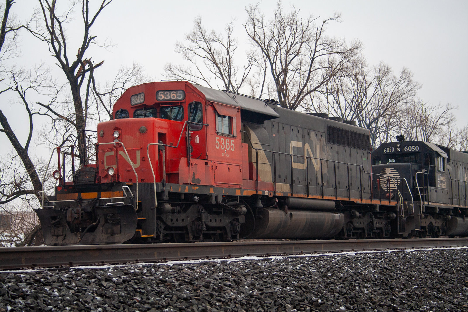 CN 5365