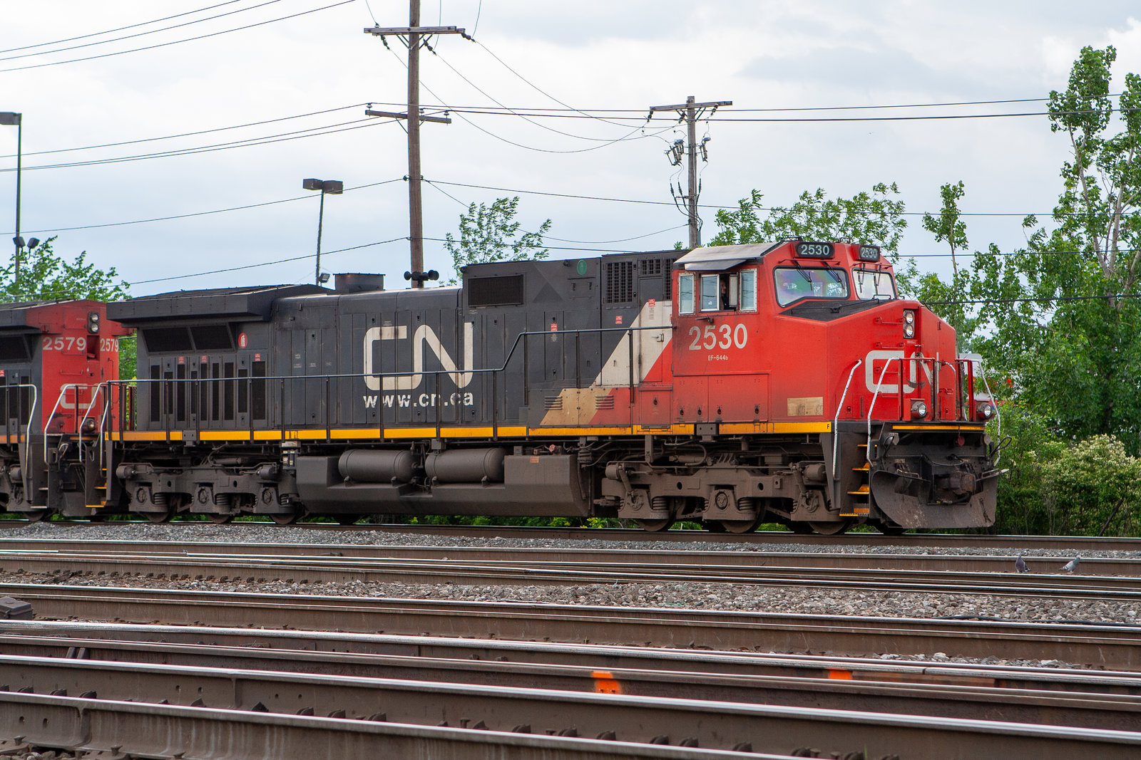 CN 2530