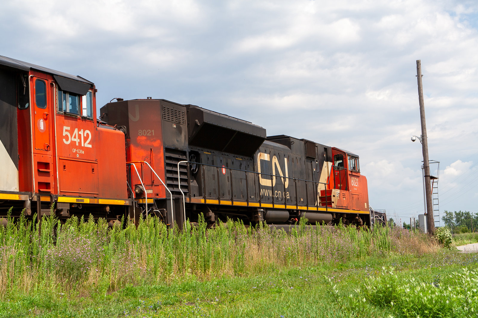 CN 8021