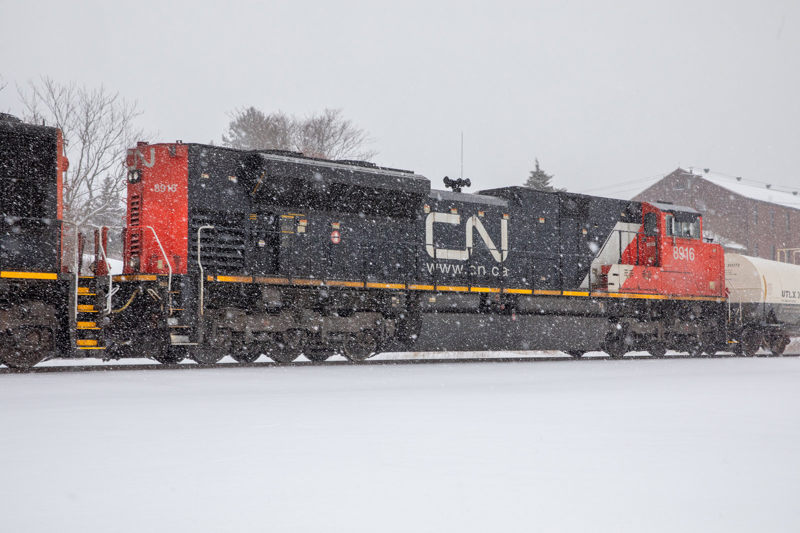 CN 8916