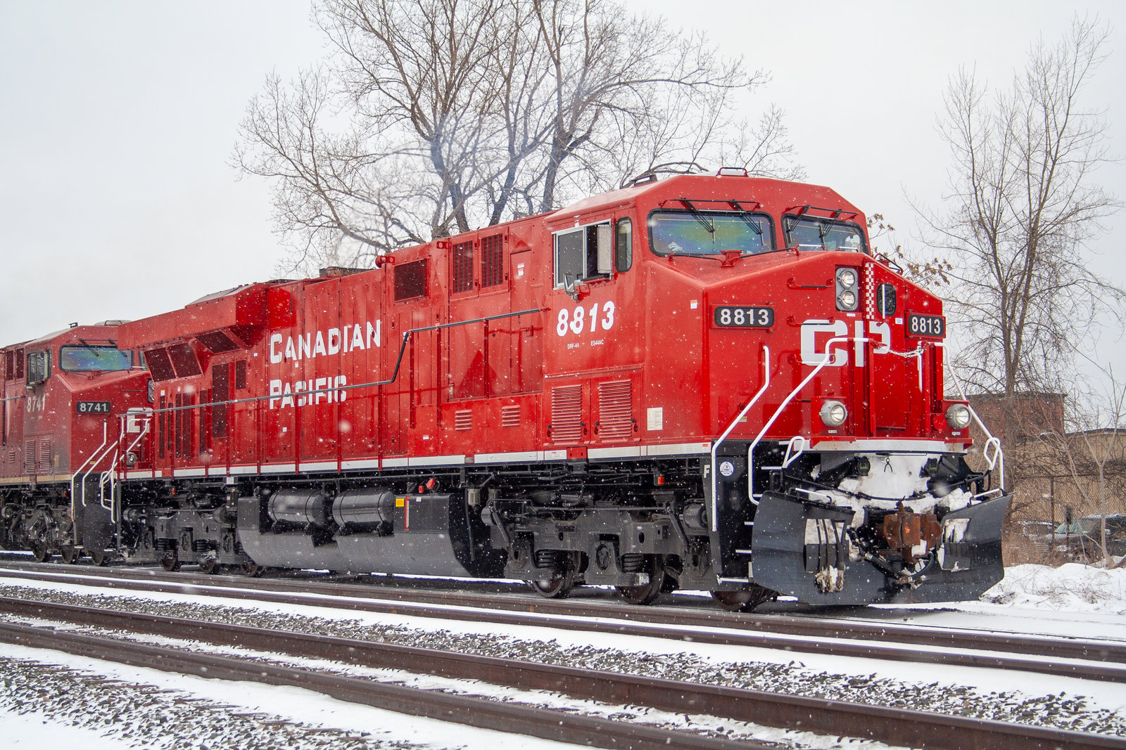 CP 8813