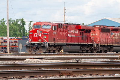 CP 8806