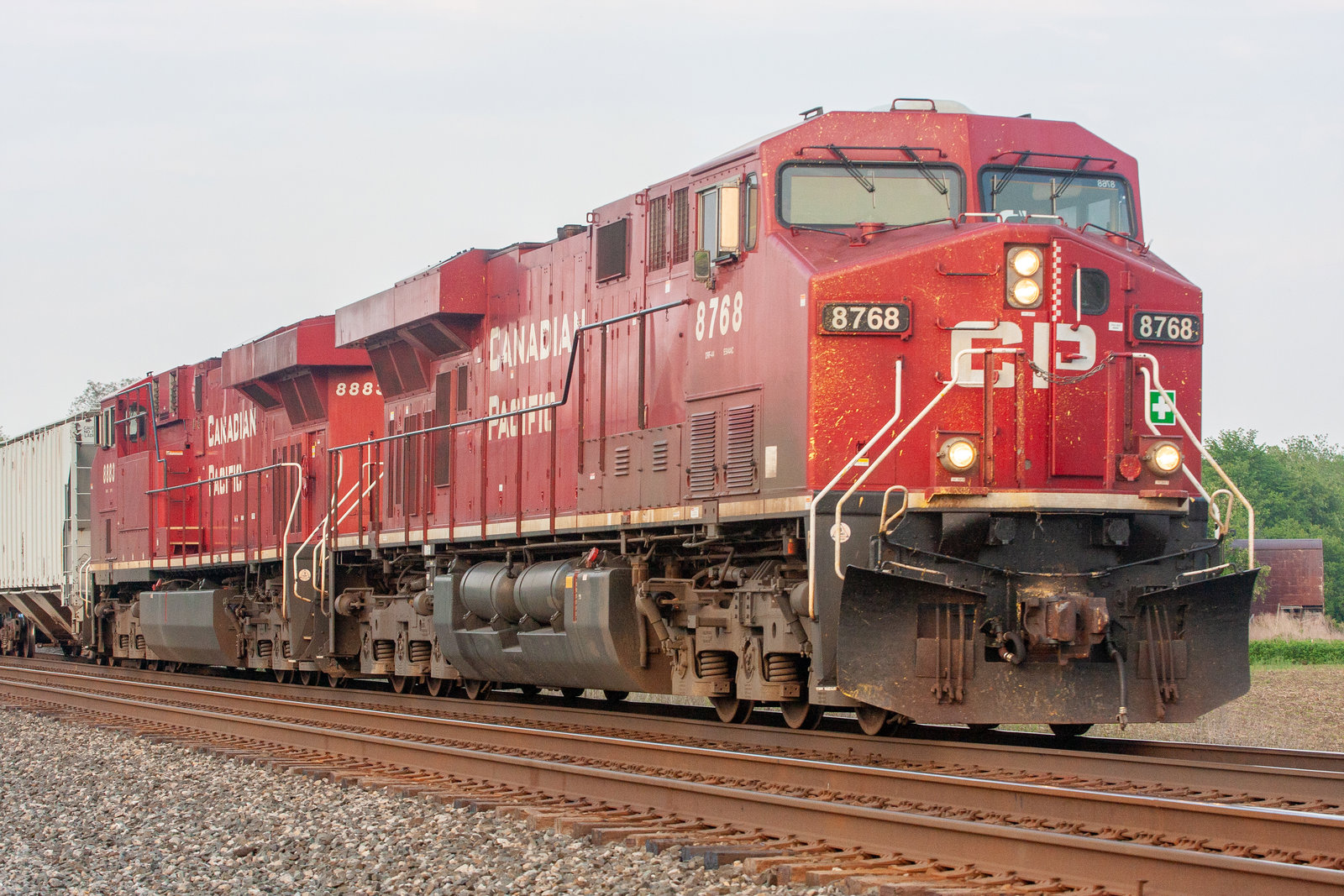 CP 8768