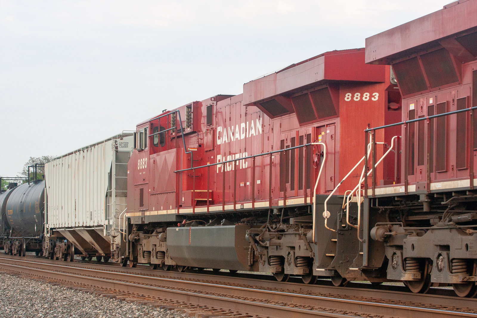 CP 8883