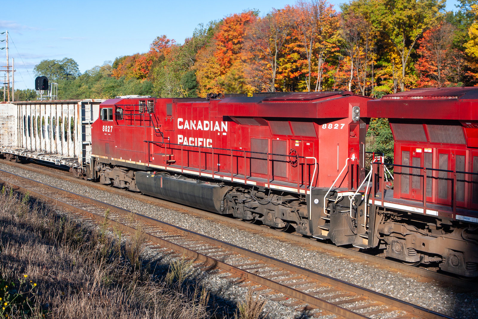 CP 8827