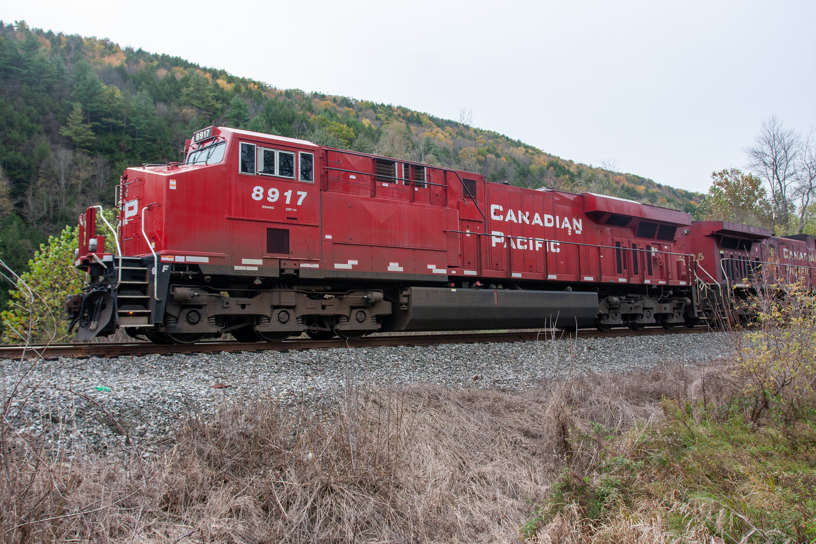 CP 8917