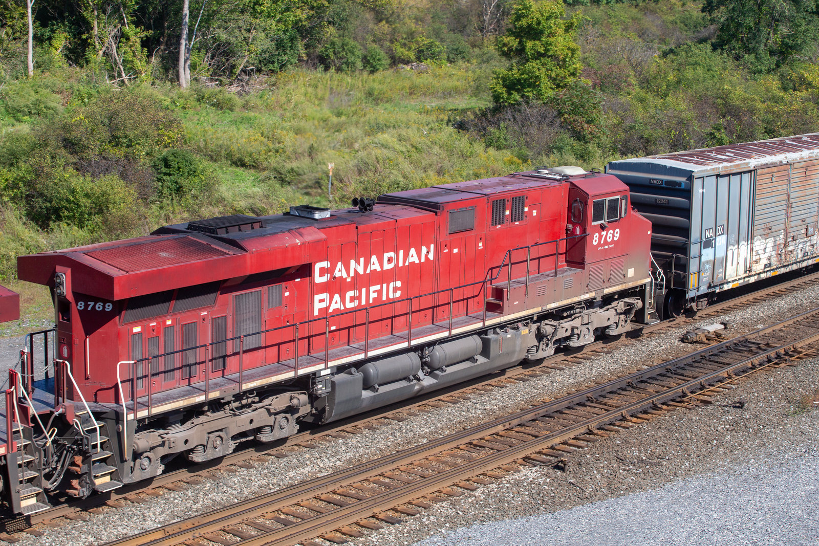 CP 8769