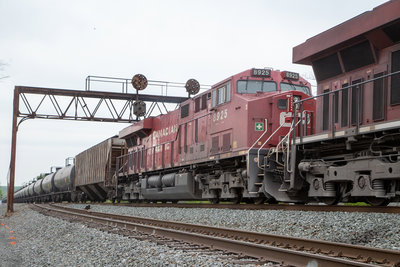 CP 8925