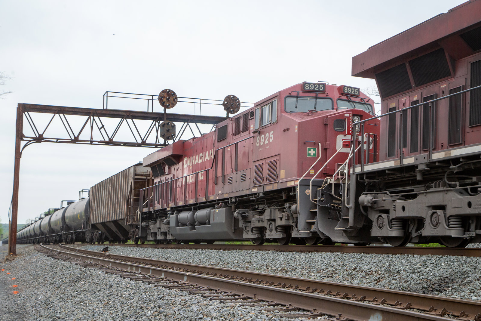 CP 8925