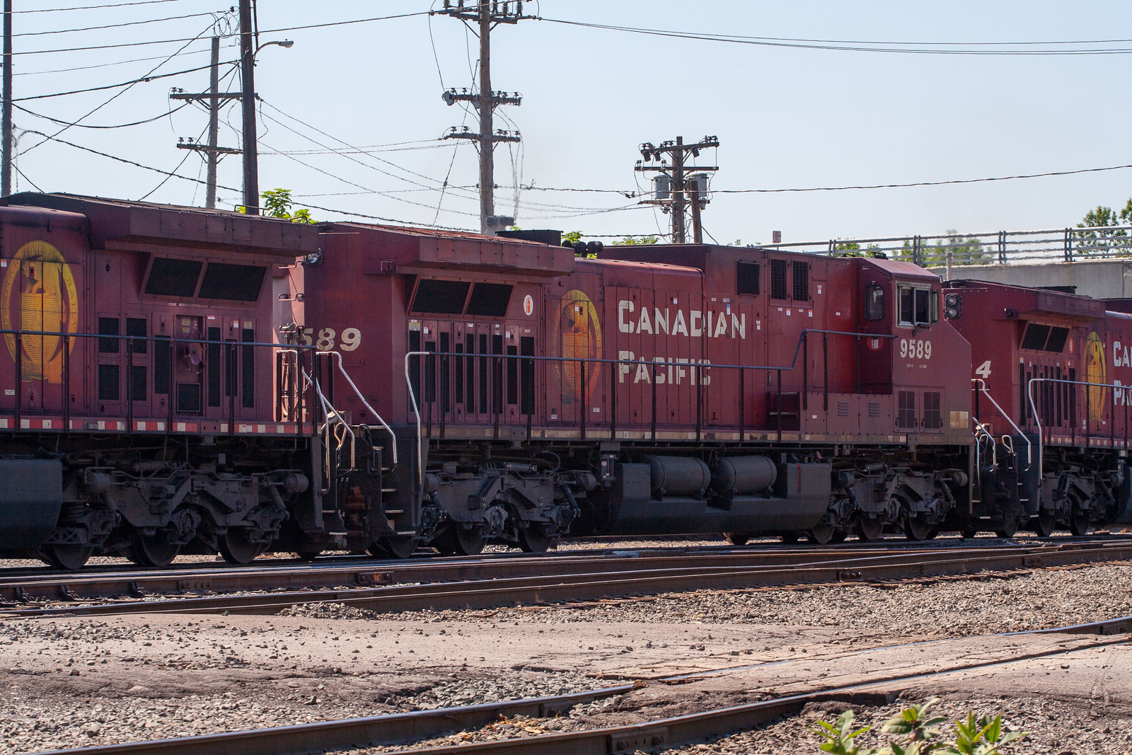 CP 9589