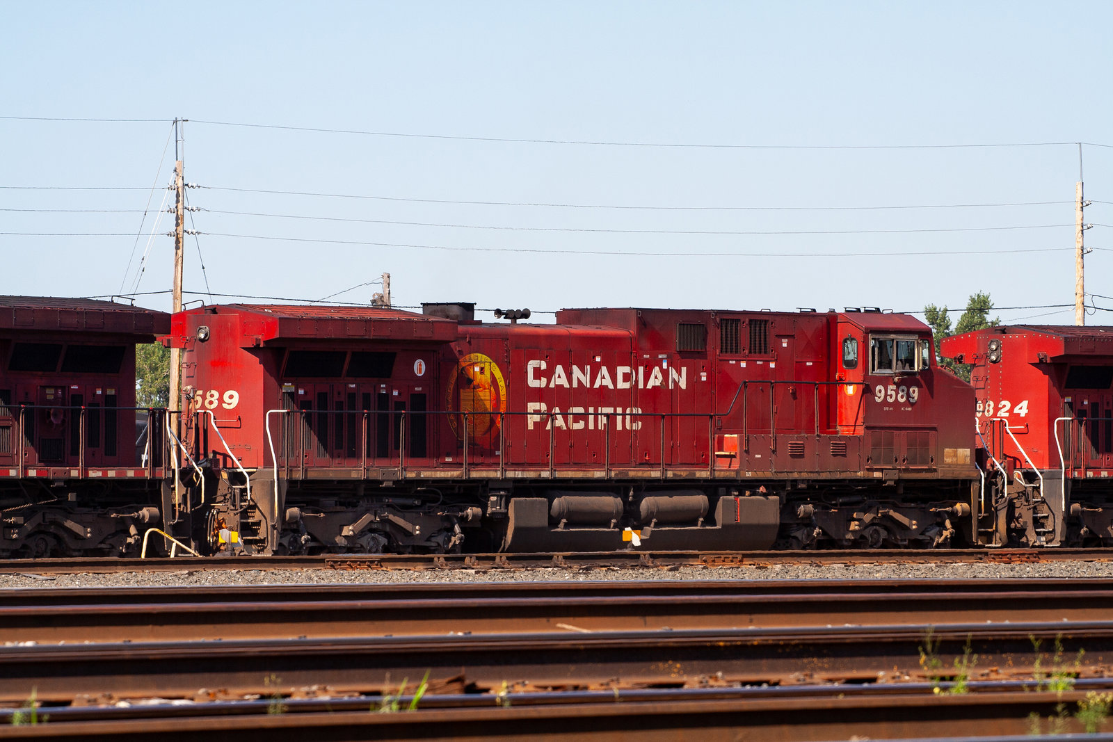 CP 9589