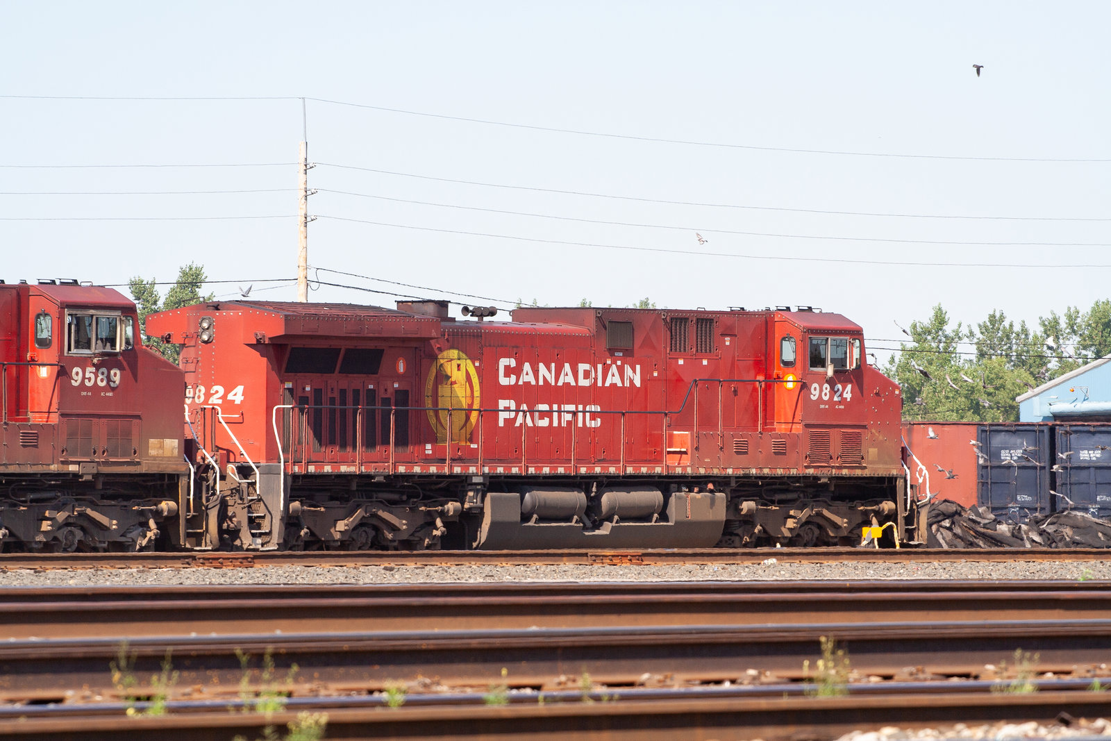 CP 9824