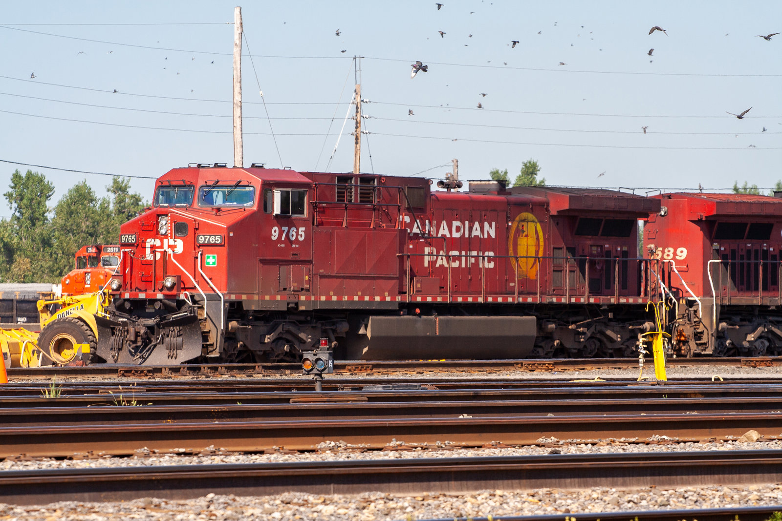 CP 9765