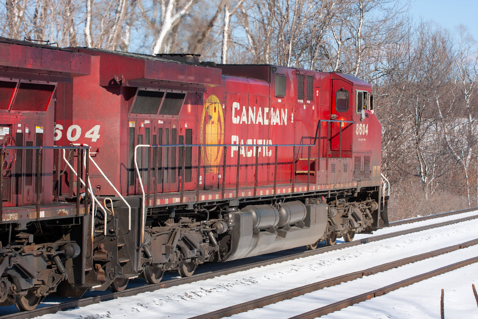 CP 8604