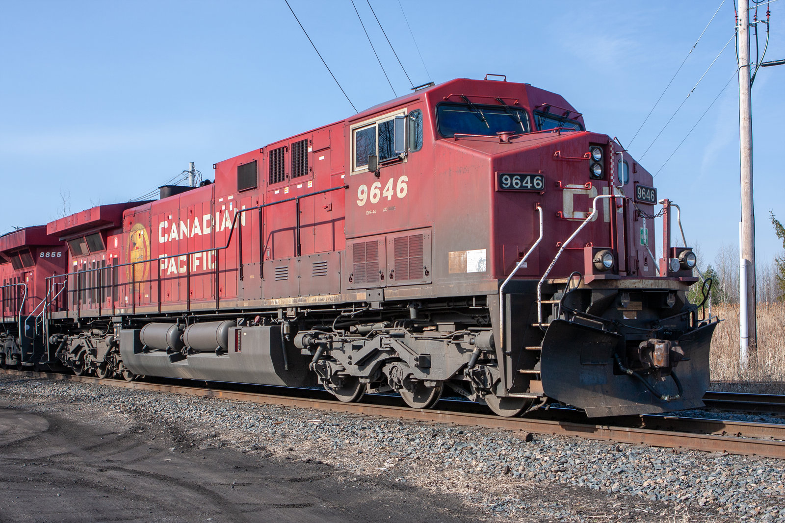 CP 9646
