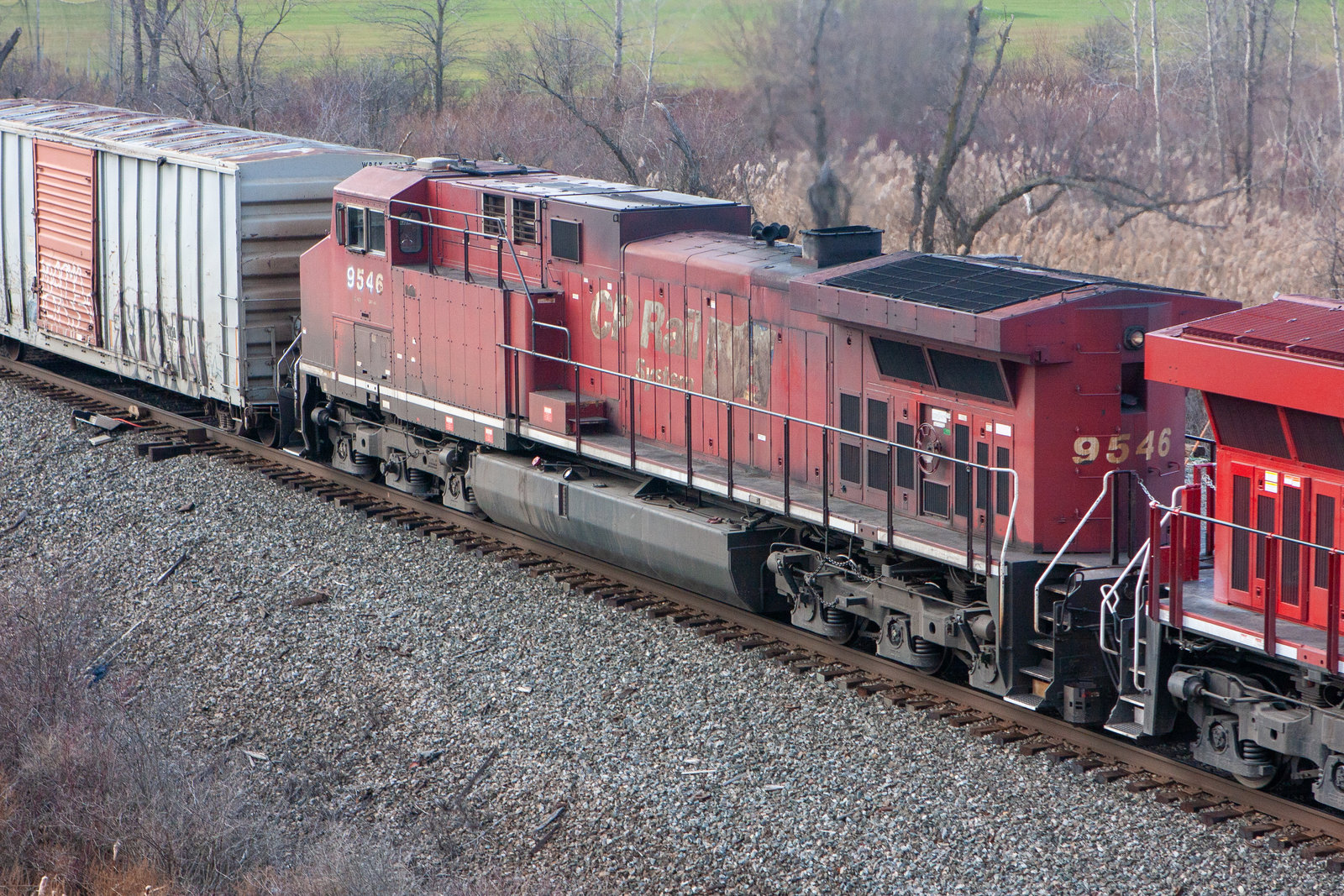 CP 9546