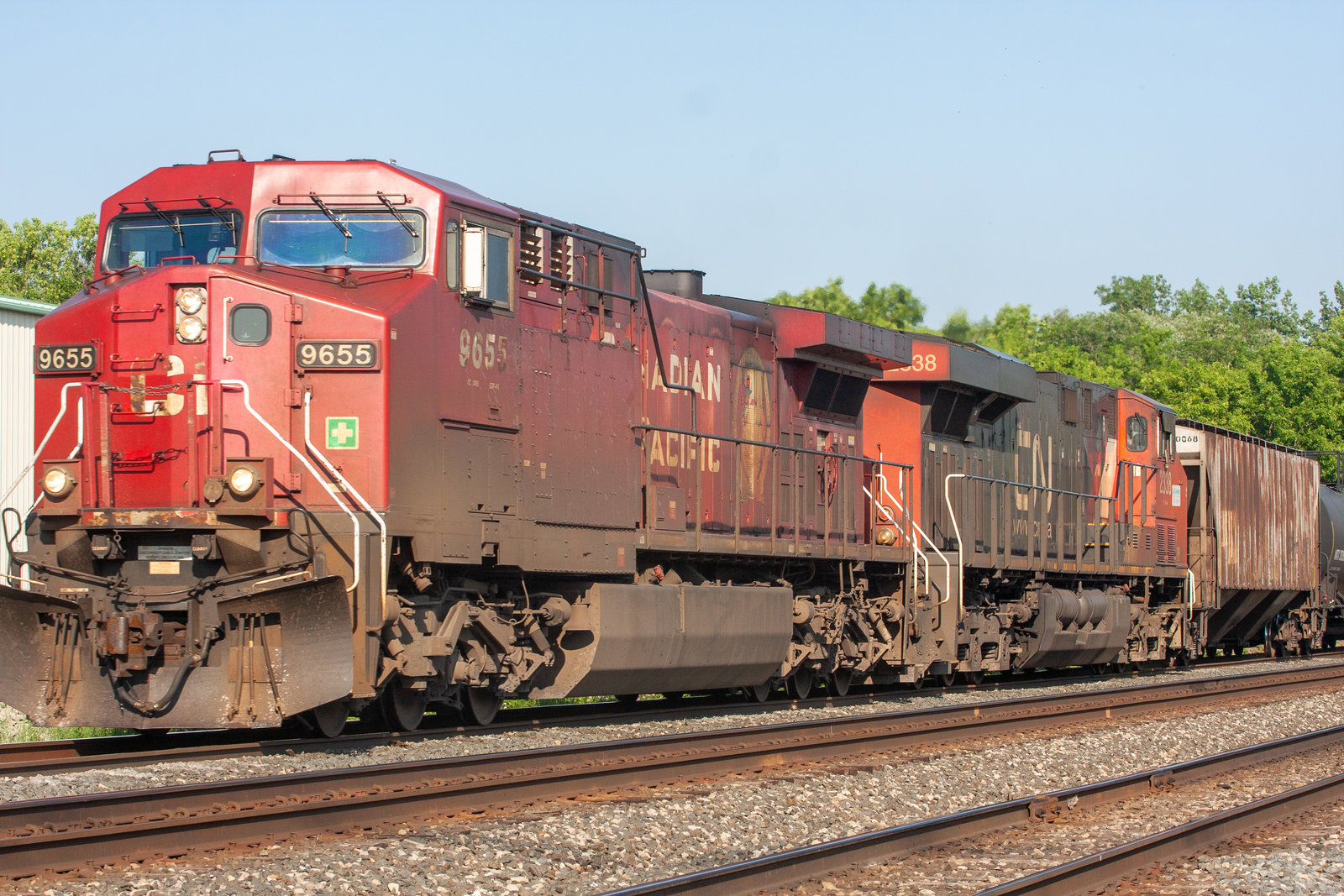 CP 9655