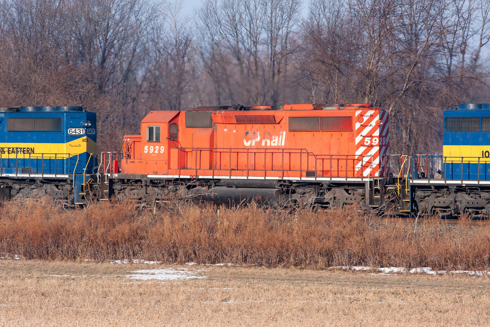 CP 5929