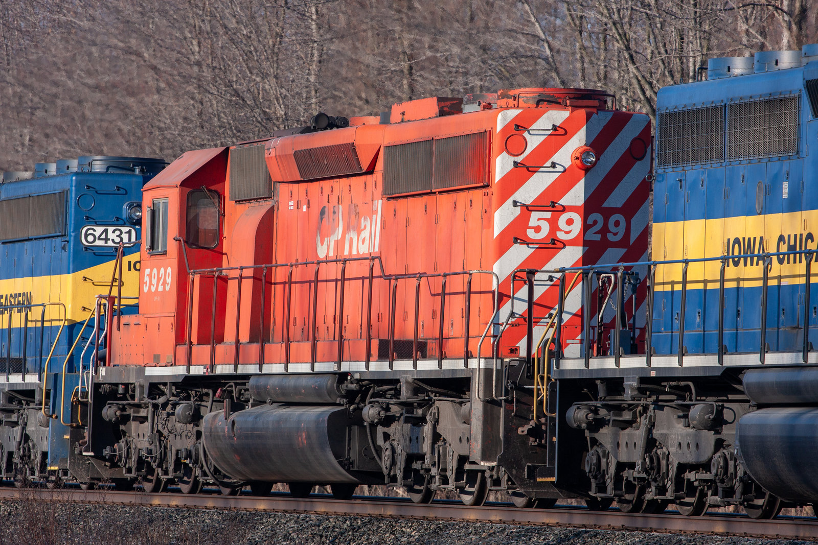 CP 5929