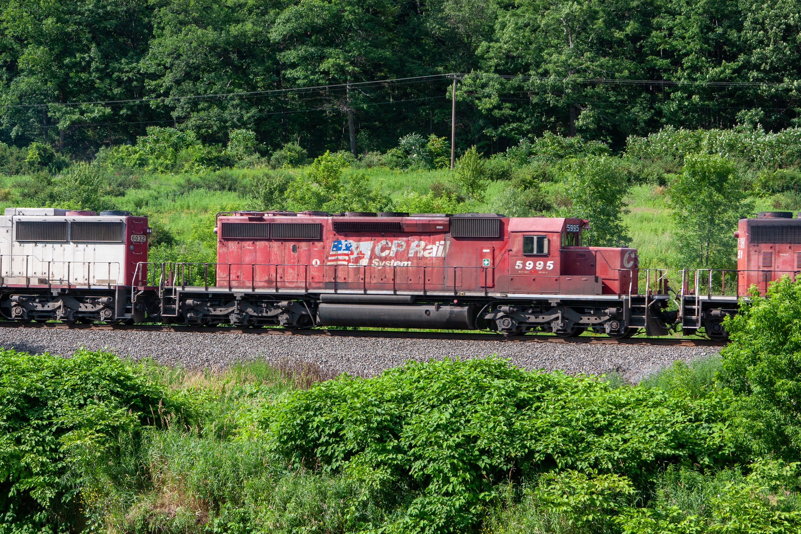 CP 5995