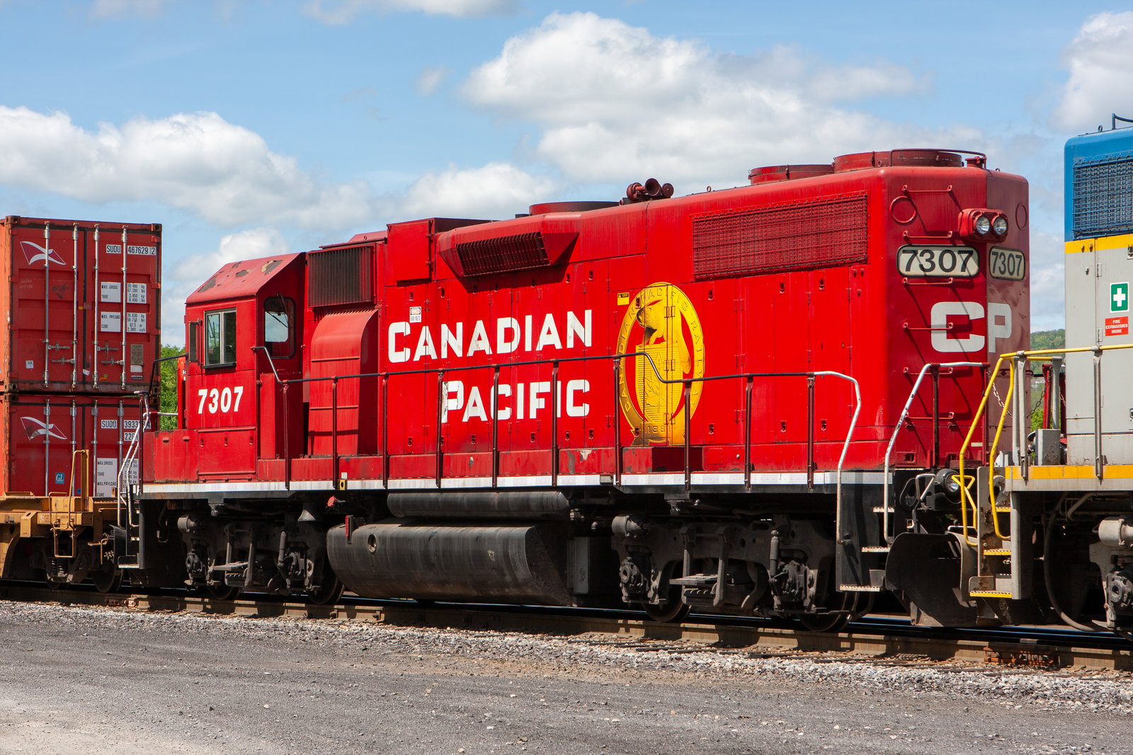 CP 7307