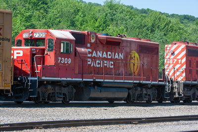 CP 7309