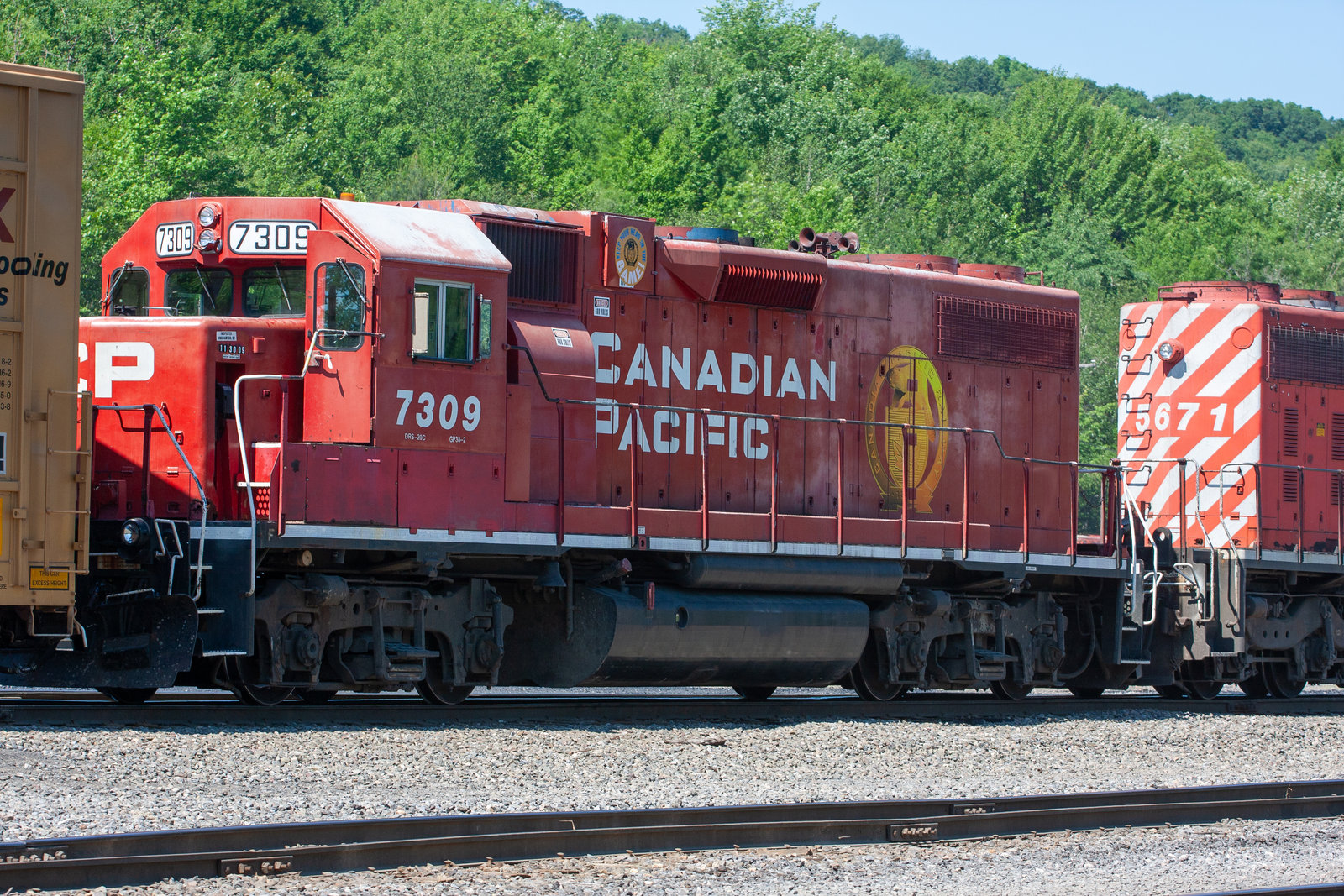 CP 7309