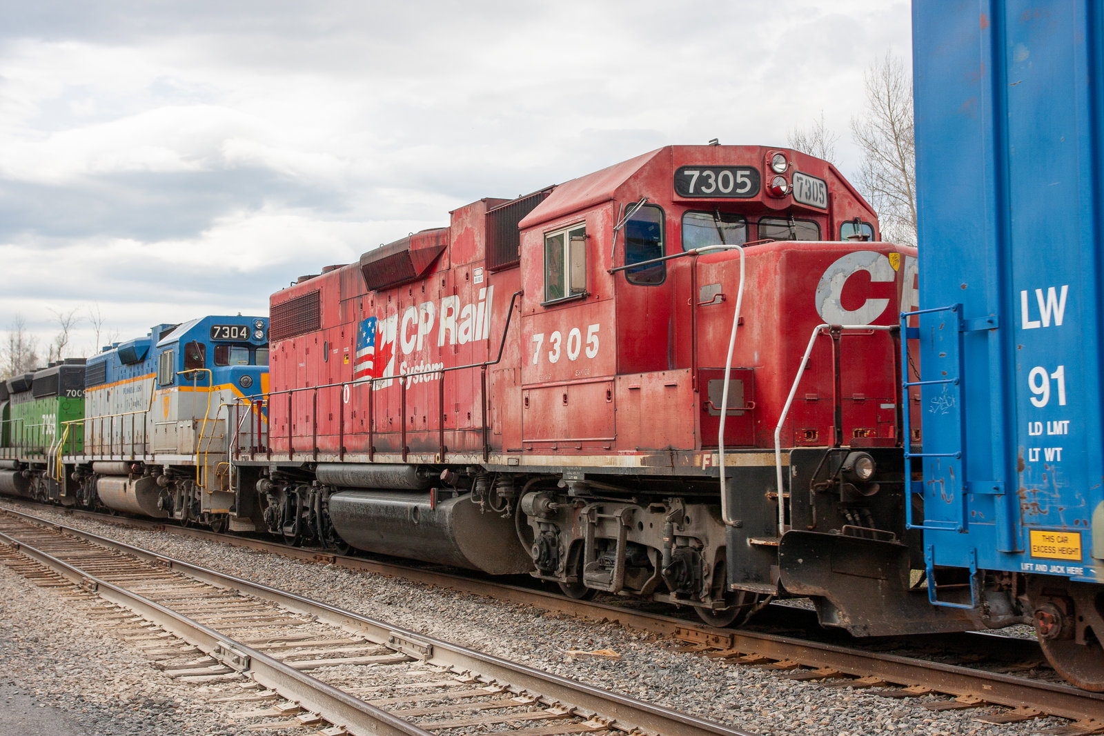CP 7305
