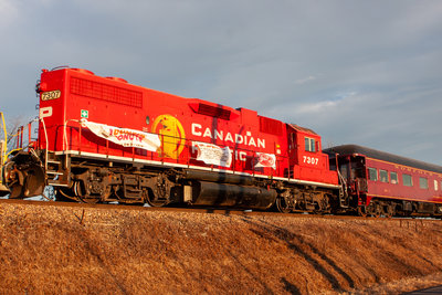 CP 7307