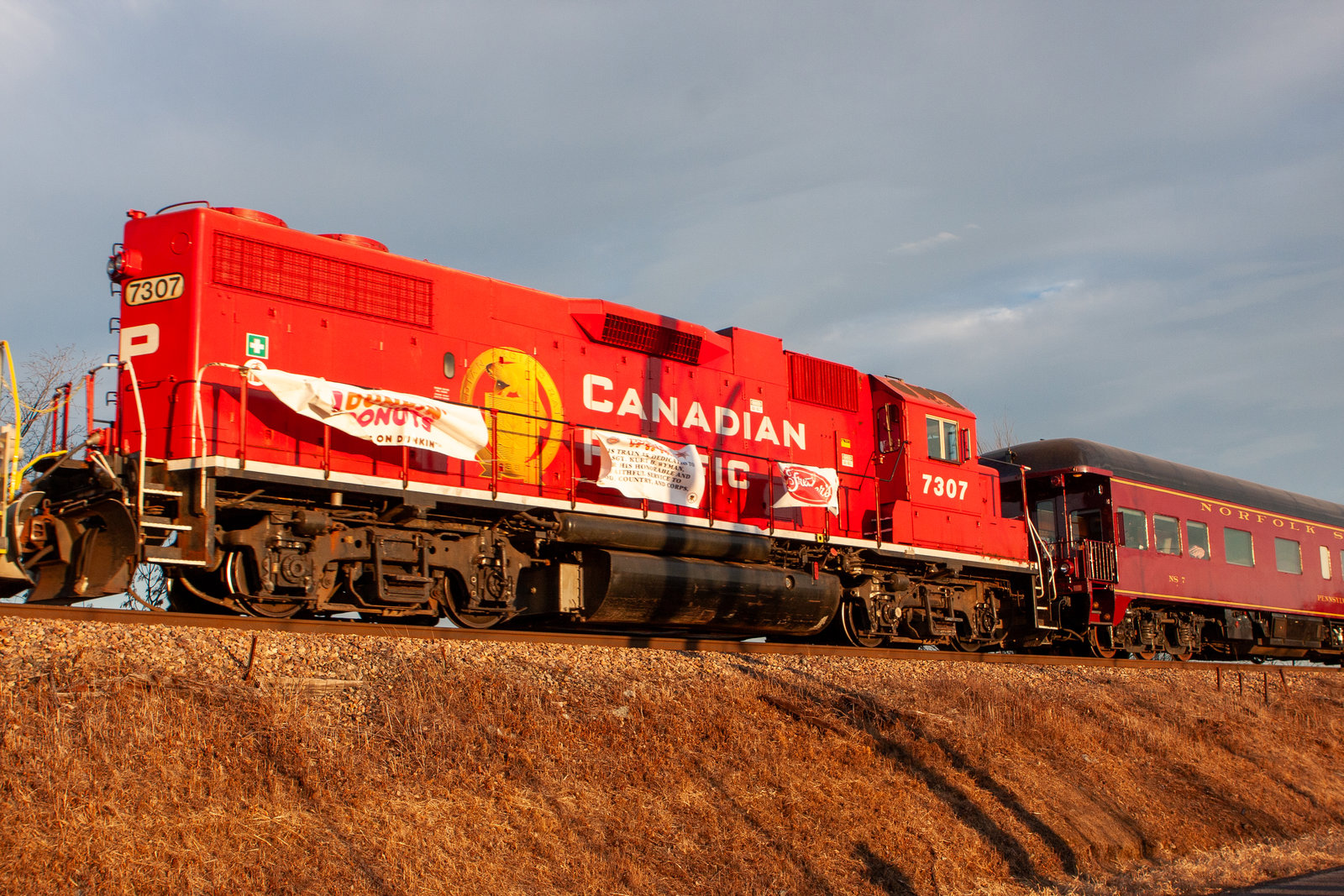 CP 7307