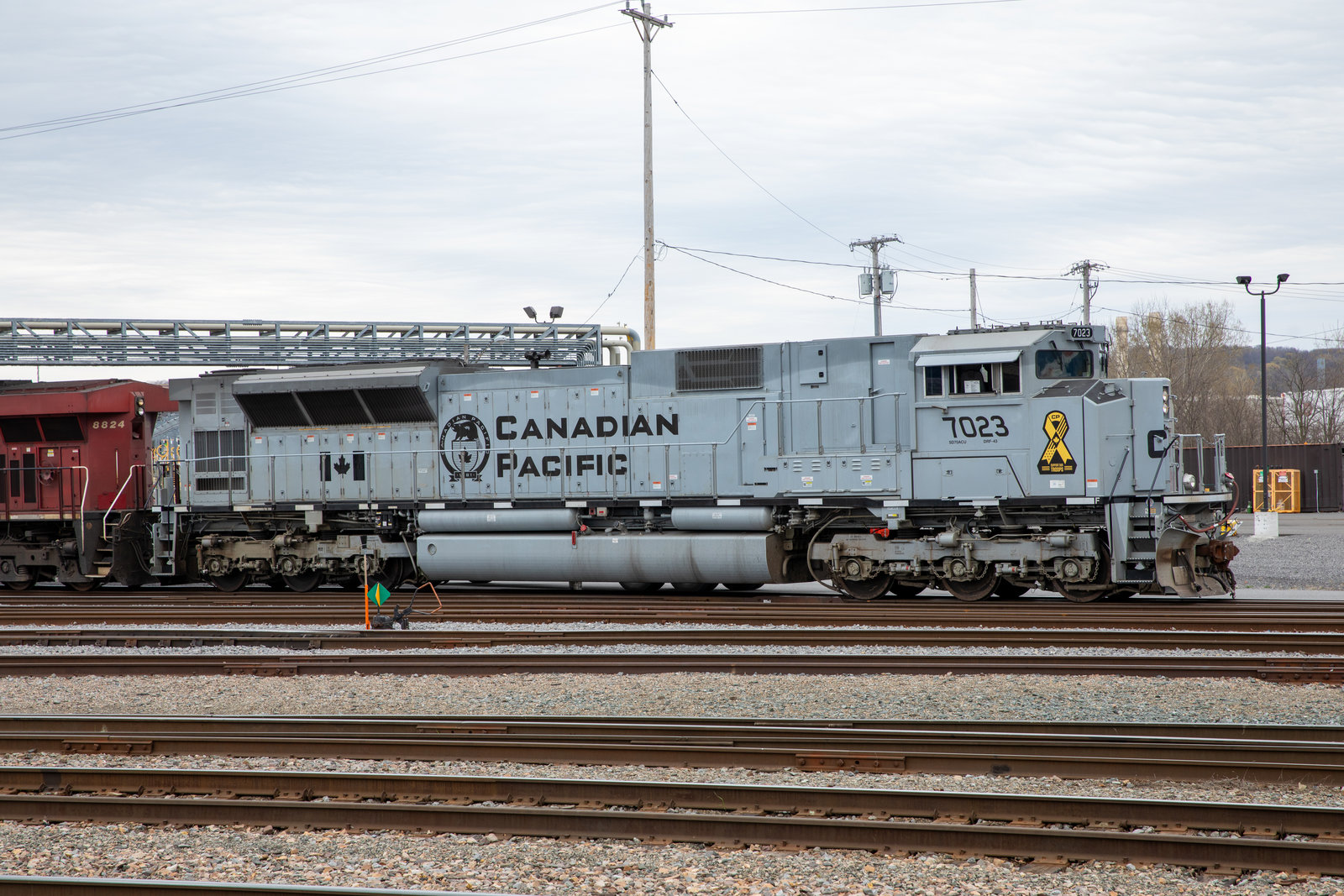 CP 7023