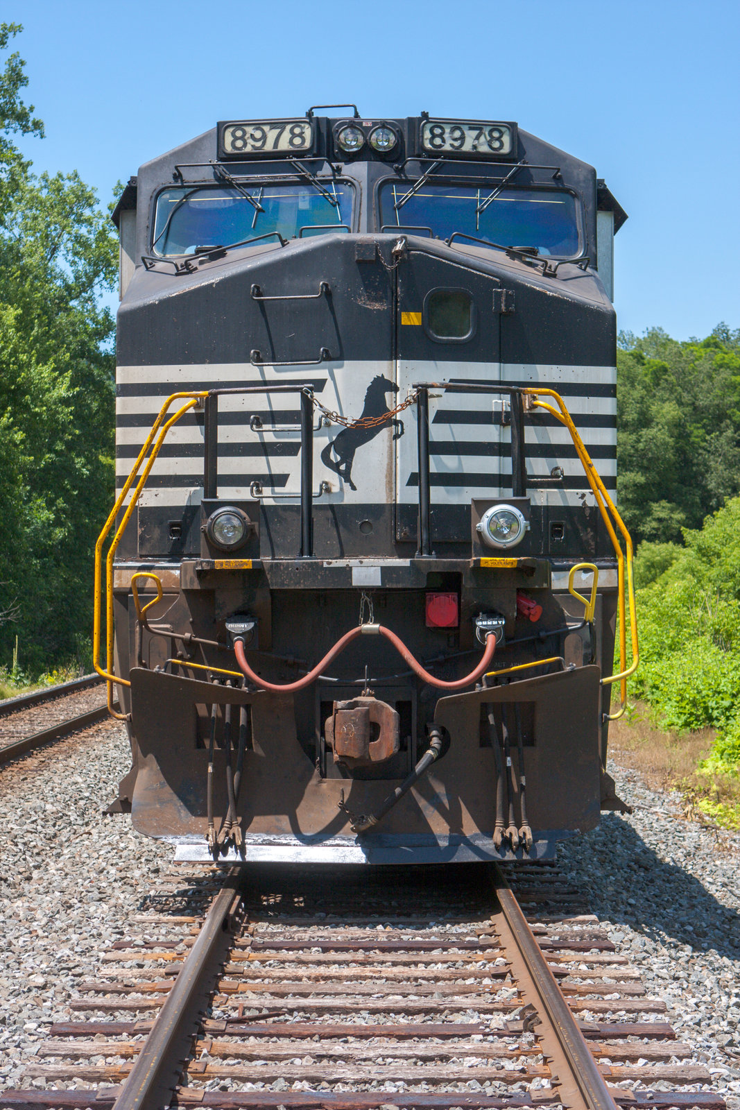 NS 8978