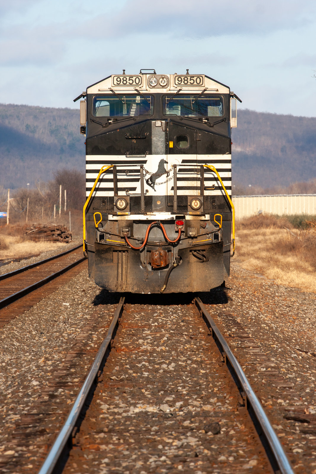 NS 9850