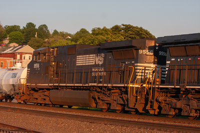 NS 9556