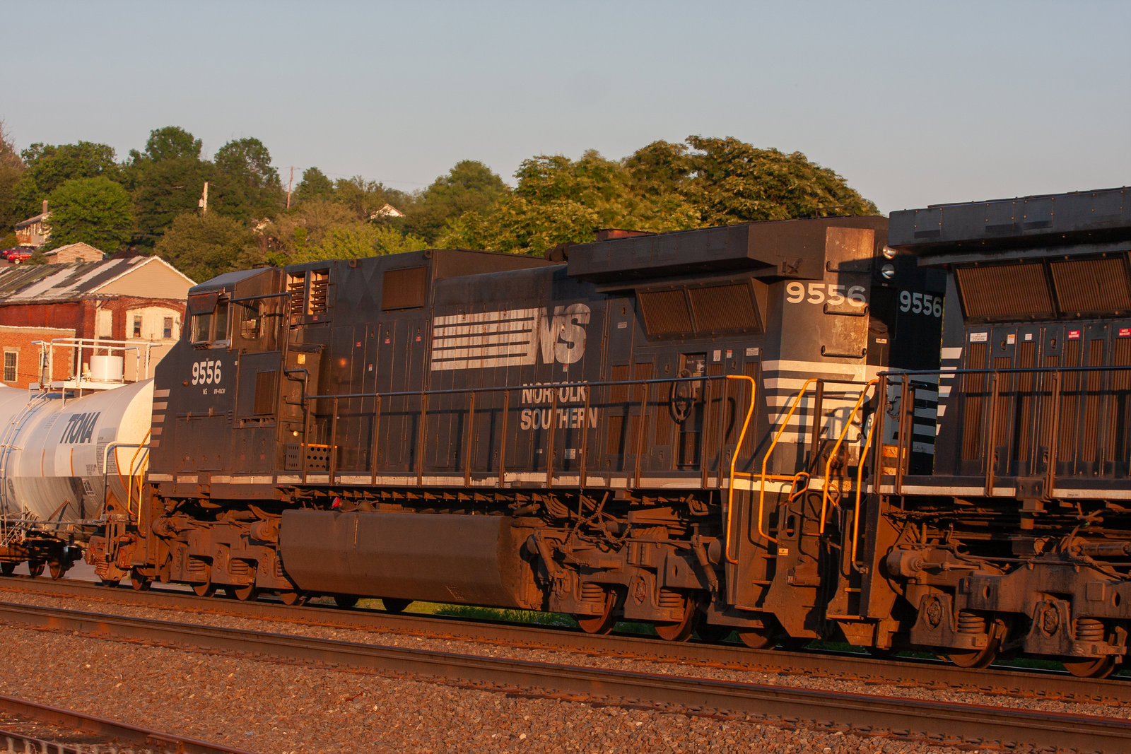 NS 9556